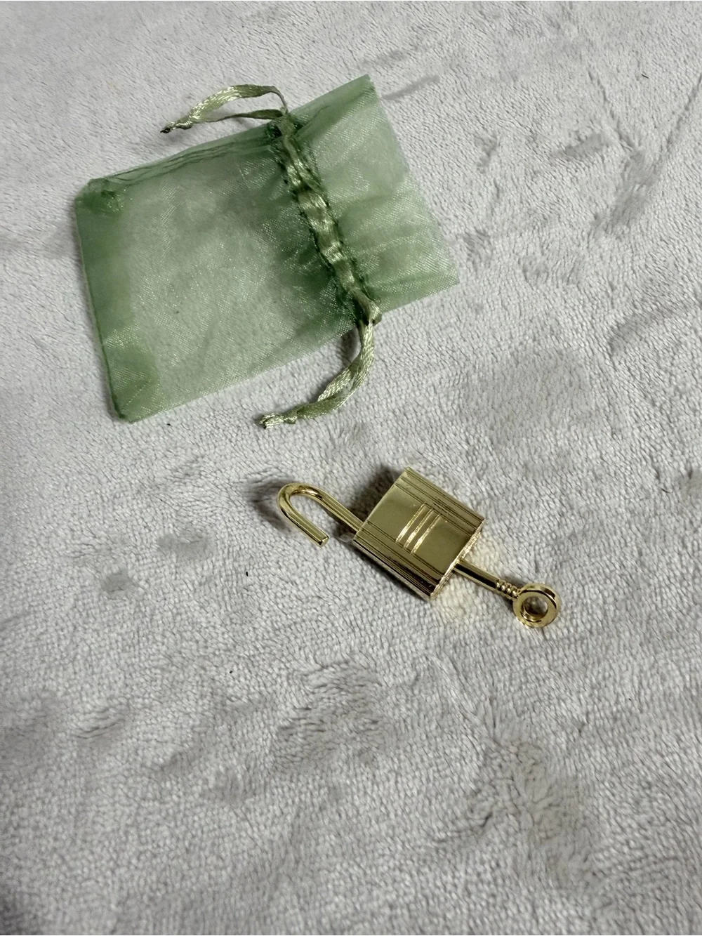 Gold Padlock and Key Set with Light Green Organza Pouch